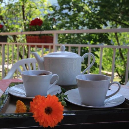 Apartman Vesna Вирпазар Екстериор снимка