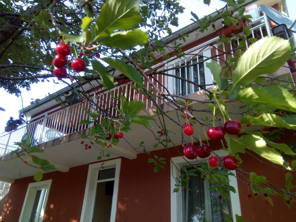 Apartman Vesna Вирпазар Екстериор снимка